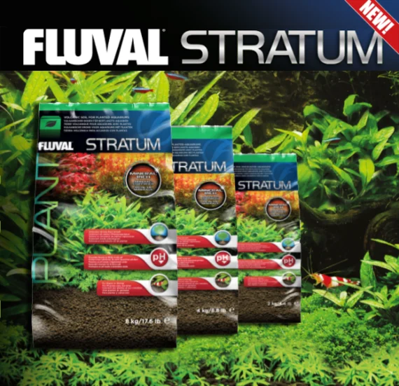 - Deodorizing cat litter tofu litter Fluval – Plant and Shrimp Stratum