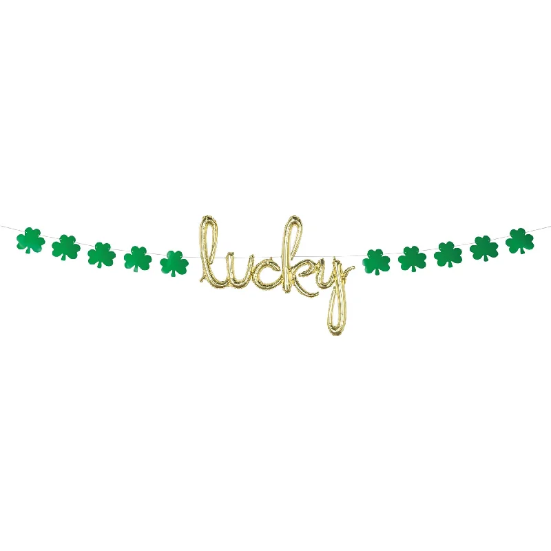 - Pet monitor with camera St-Patrick's Day Balloon Lucky Banner Kit, 240 Inches, 1 Count