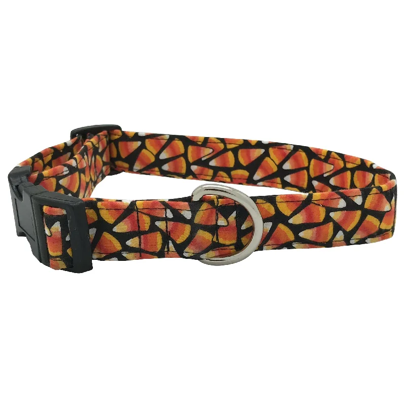 Rainin' Candy Corn Dog Collar